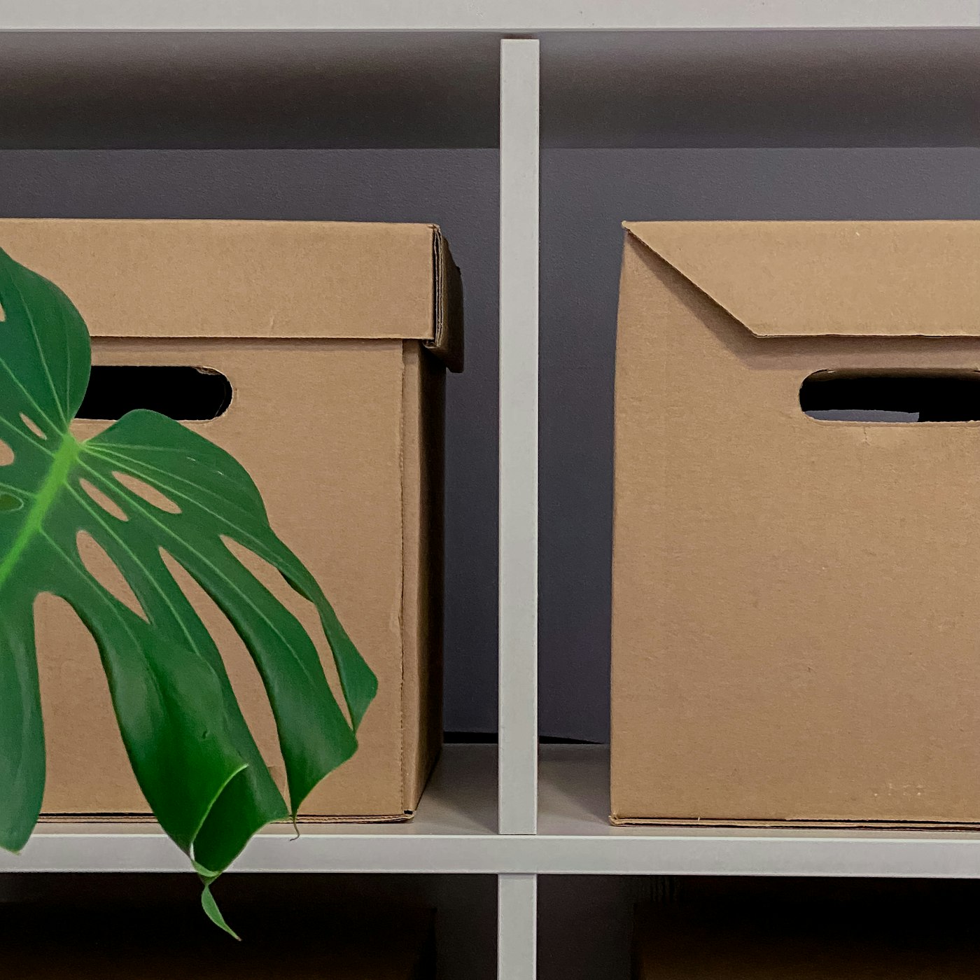 Canvas Storage Bin