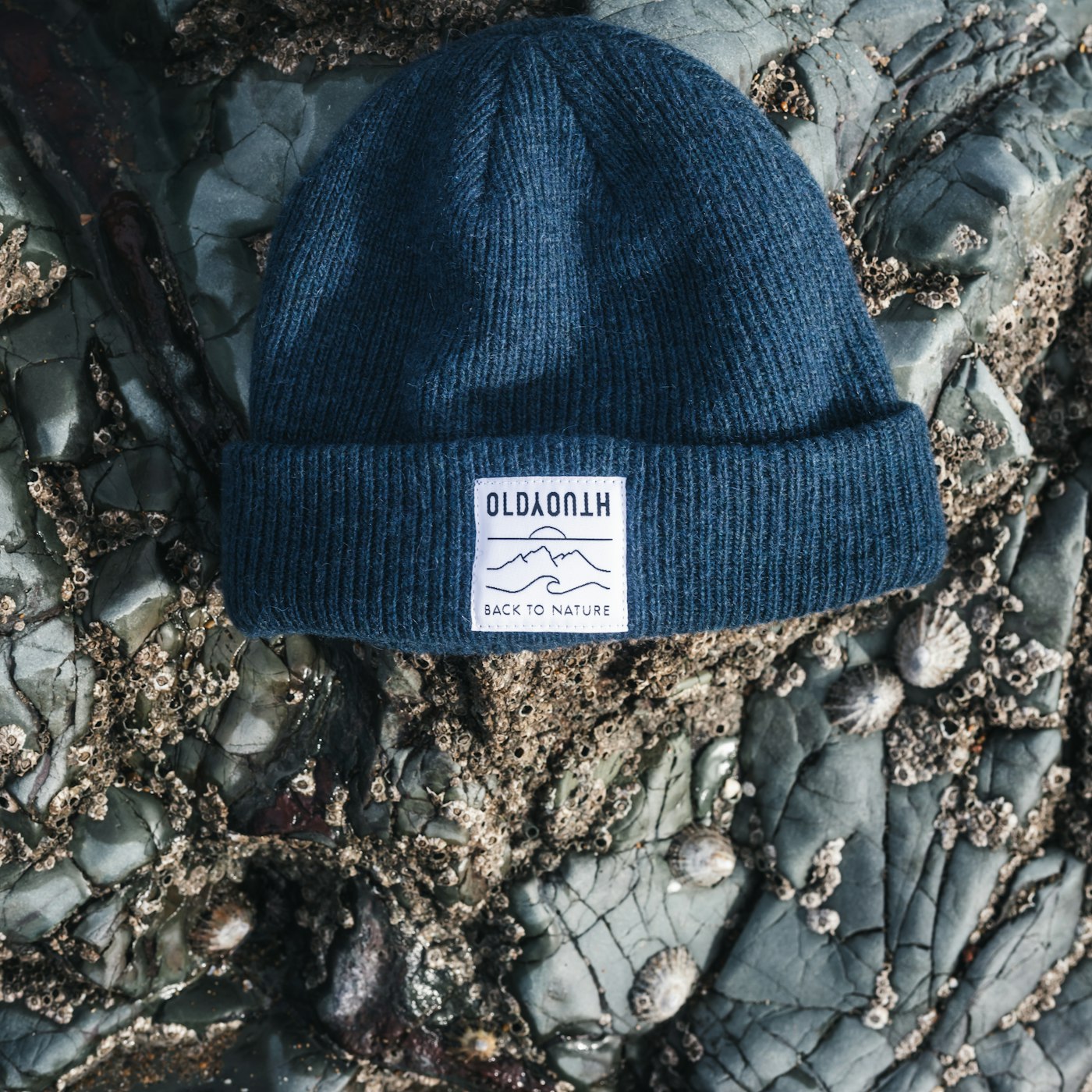 Fold-Over Knit Beanie