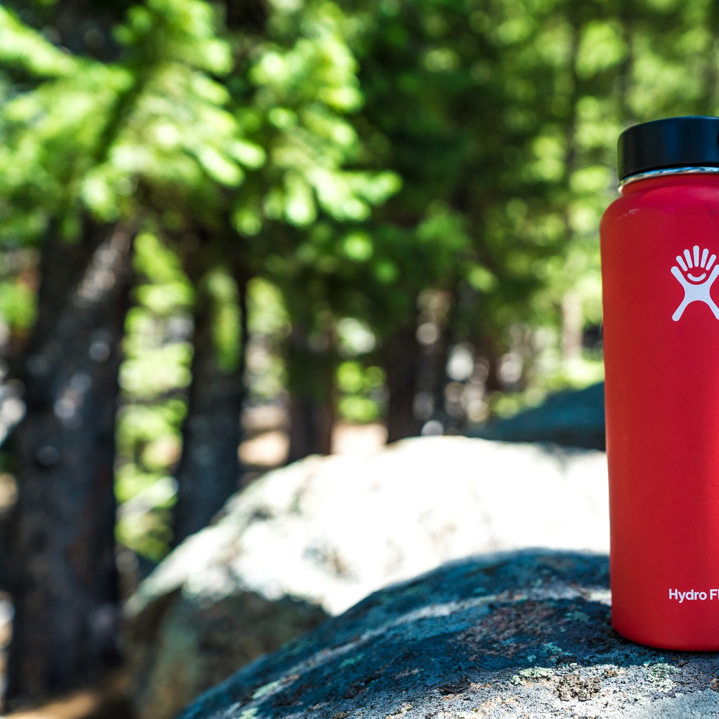 Insulated Water Bottle